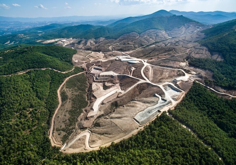 The Ultimate Guide to Help Prevent Deforestation