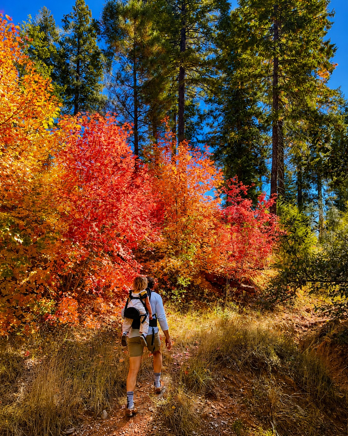 Thanksgiving Family Walk With Kids: A Simple Plan for Everyone