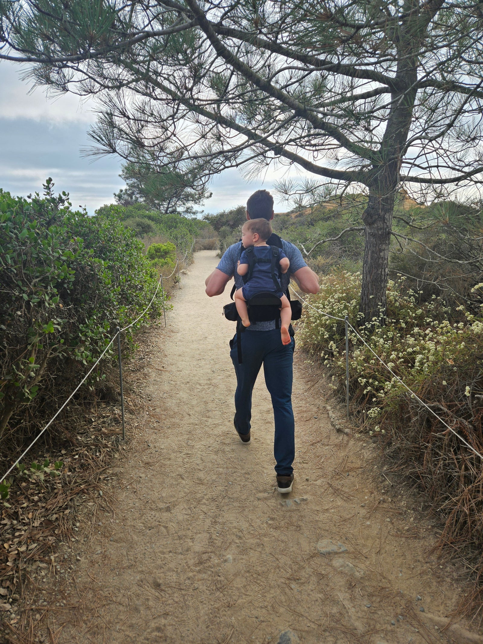 What Age Can a Child Use a Hiking Carrier? A Parent’s Guide